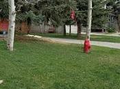 élan roule pour vous