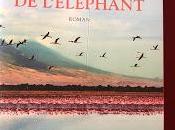 révérence l’éléphant Laura Trompette