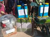 Cameroun anciens combattants recyclent dans l’agriculture l’Est