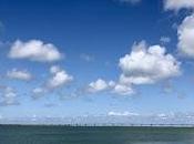 Tant qu'il reste îles Martin Dumont