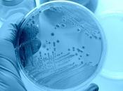 COVID-19 microbiote régule réponse vaccinale