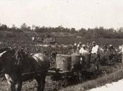 France Var, viticulture fabrication pipes