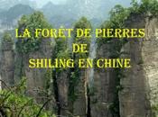 Chine Foret Pierres