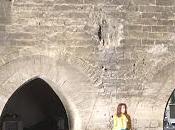 Cerisaie d’Anton Tchekhov mise scène Tiago Rodriguez dans Cour d’honneur Palais papes