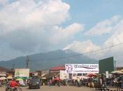 Cameroun Mafia Nkongsamba Relance chantiers clandestins