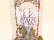 Travis Scott lance “Cactus Farm”, marque weed