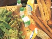 Pharmacopée traditionnelle bataille reconnaissance