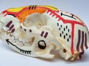 Custom crâne raton-laveur