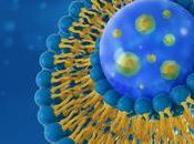 LIPOSOMES tous aussi efficaces cibler tumeurs