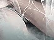 avis sens cachés d'Estelle Every