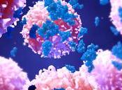 IMMUNOTHÉRAPIE CANCER vecteur pour cibler tumeur