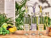 Belvedere présente Organic Infusions, nouvelle gamme vodkas aromatisées 100% biologique