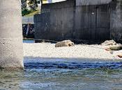 Pêcheur Matane… mouche.