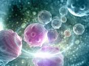 RÉSISTANCE Comment cellules cancéreuses échappent thérapie