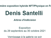 Galerie Schwab-Beaubourg exposition hybride DENIS SANTELLI partir 29/09/2021