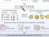 #Cell #cellule #atlascellulaire #écosystèmecellulaire #tumeursolideprimaire Atlas d'états cellulaires d'écosystèmes cliniquement distincts dans tumeurs solides humaines