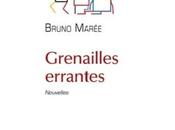 Grenailles errantes, Bruno Marée