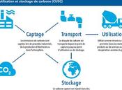 Point préparé Krystle Wittevrongel, analyste...