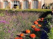 jardins, plans d'eau parc Cheverny