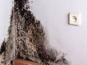 Maintenir esprit propre