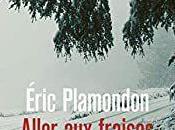 Aller fraises Eric PLAMONDON