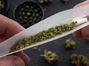 CANNABIS risque d’infarctus