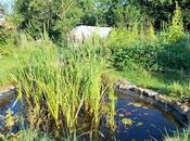 Comment augmenter biodiversité jardin