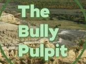 sénateur Cramer Bank America discutent technologie capture carbone pendant Bully Pulpit