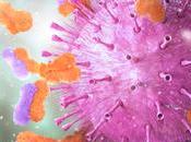 COVID LONG faute anticorps secondaires imitent virus