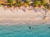 Ruminant, Marmonneux l'Impulsive Insatisfaite