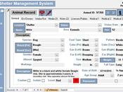 Aperçu marché logiciels refuge pour animaux tendances demandes croissantes 2021