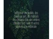 (Lettre Jacques Josse, propos "Manèges oubliés", Jean-Pascal Dubost