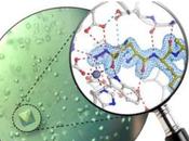ALZHEIMER COVID-19 APOE4 joue tableaux