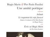 (Note lecture) Biagio Marin Pier Paolo Pasolini, amitié poétique, Isabelle Baladine Howald