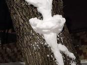 Sculptures neige troncs d'arbres