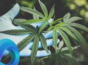 législation Europe ailleurs