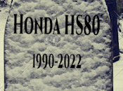 Mort d'une fraise neige