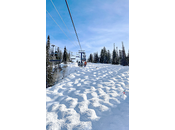 Saison difficile, délicat, plus d’expérience