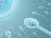 COVID-19 effets confirmés fertilité