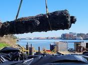 canons guerre révolutionnaire découverts dans rivière Savannah Géorgie