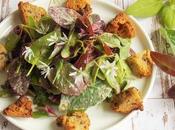 Salade pousses plantes sauvages autres) croûtons sans gras (Vegan)