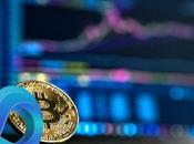 Phénomène crypto-monnaie vous devez savoir