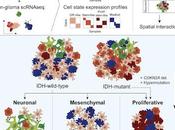 #Cell #gliome #évolutiongénétique progression gliome façonnée l'évolution génétique interactions microenvironnement
