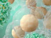 DÉPRESSION cellules immunitaires dépriment aussi