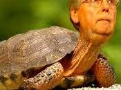 Dans tête partisans Trump