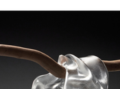 Galerie Capazza Nançay Sologne