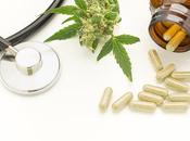 CANNABIS MÉDICAL Efficacité confirmée contre douleur oncologie