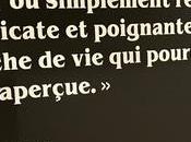 Musée Maillol exposition Steve McCURRY derniers jours) jusqu’au Juillet 2022.