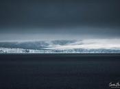 Expédition polaire Svalbard: Glacier phoques barbus