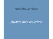 (Note lecture) Patrick Beurard-Valdoye, Palabre avec arbres, Eric Villeneuve